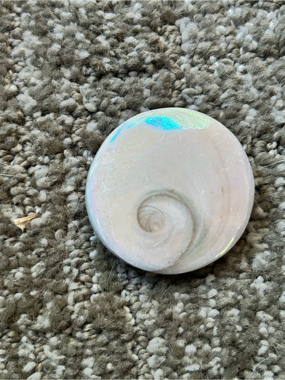 Iridescent Angel Aura Eye of Shiva Palm Stone